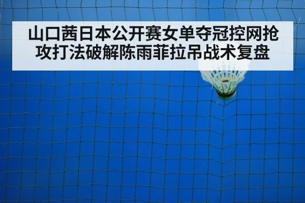 badminton net play