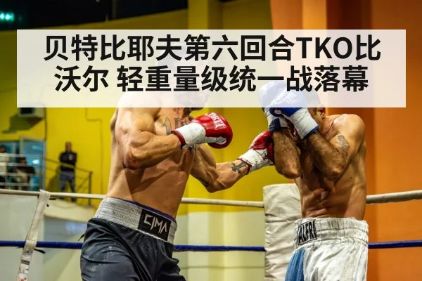 light heavyweight boxing
