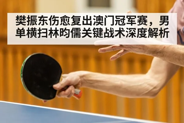 樊振东伤愈复出澳门冠军赛，男单横扫林昀儒关键战术深度解析